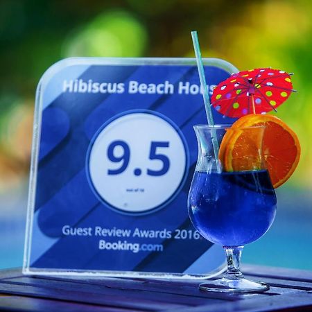 Hibiscus Beach House Jan Thiel エクステリア 写真