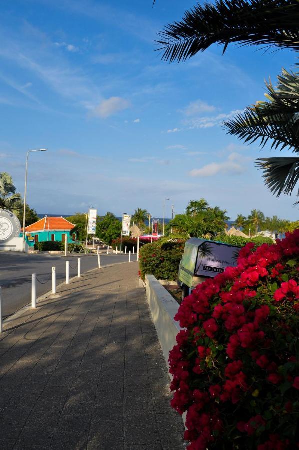 Hibiscus Beach House Jan Thiel エクステリア 写真