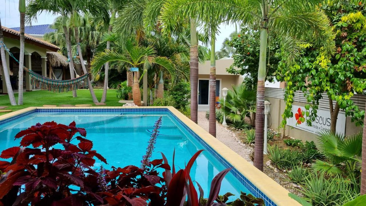 Hibiscus Beach House Jan Thiel エクステリア 写真