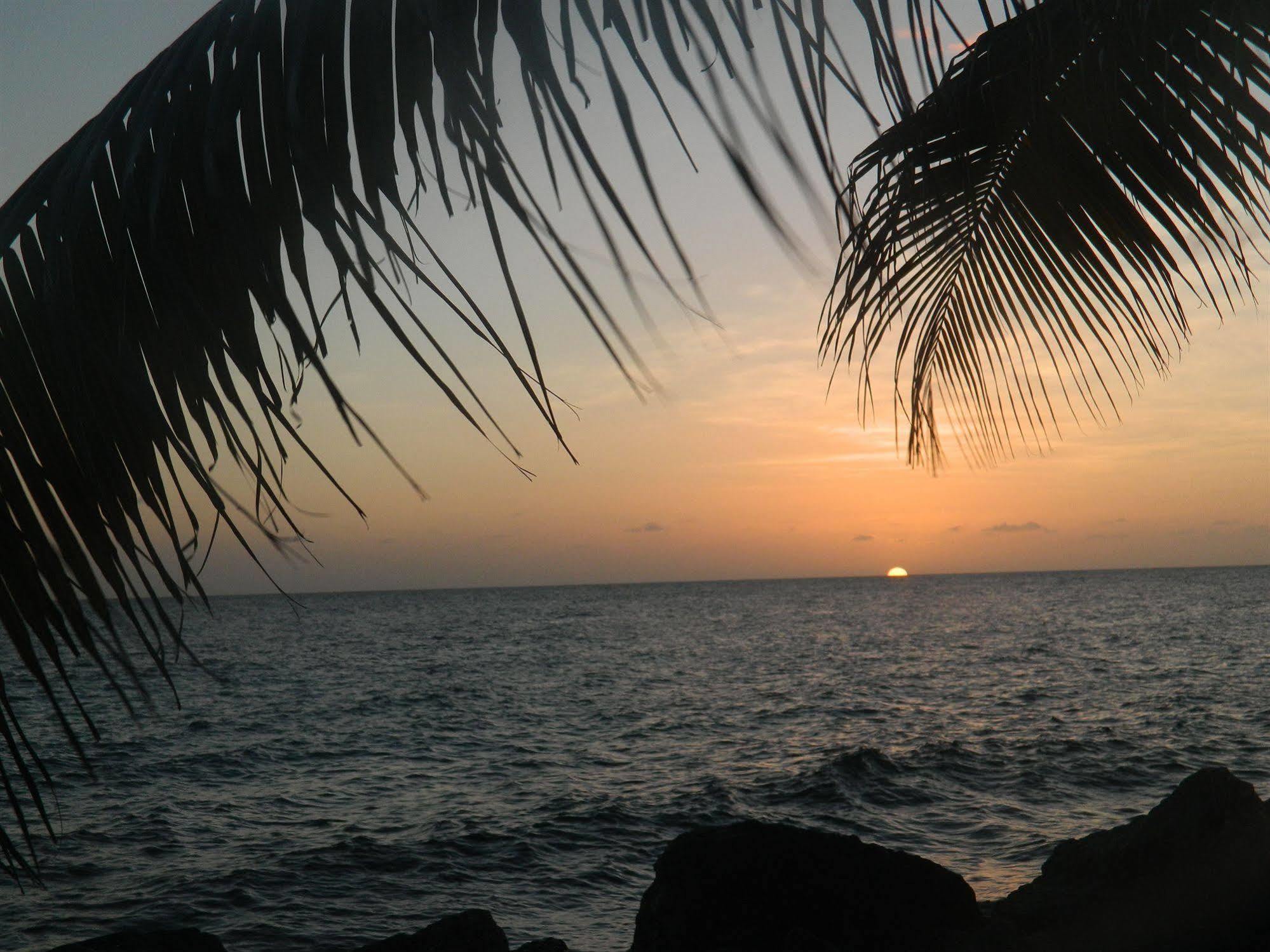 Hibiscus Beach House Jan Thiel エクステリア 写真